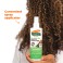 Moisture Boost Leave-In Conditioner